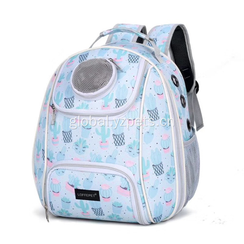 Outdoor Pet Backpack Traveling Outdoor Colorful Bag Pet Backpack Factory